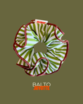 Chouchou BALTO